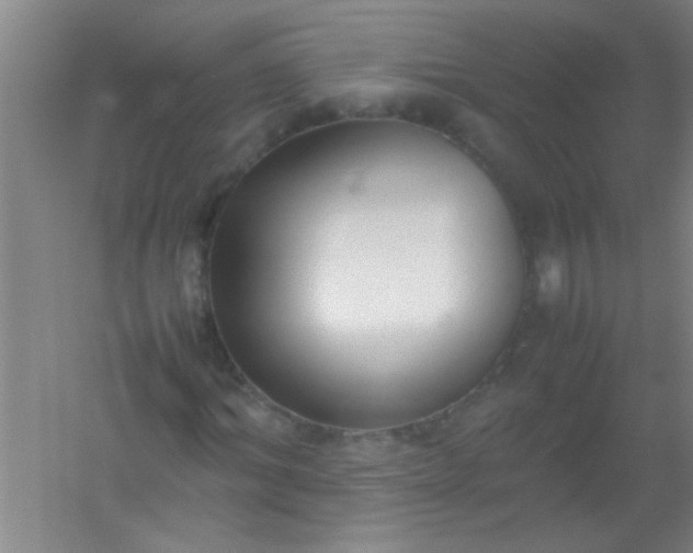 X0000054430964200508121814