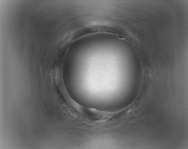 X0000054430965200508121814