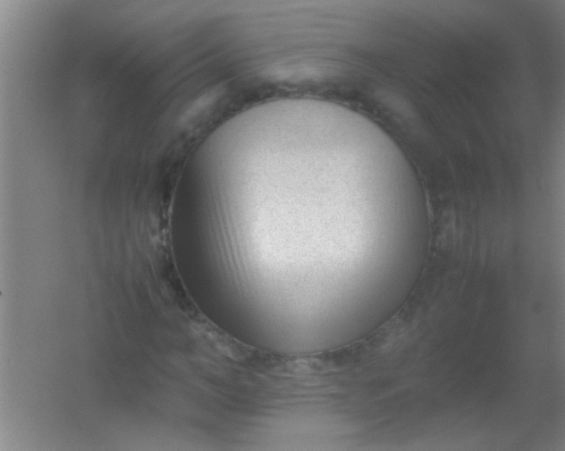 X0000054430966200508121814