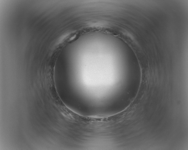 X0000054430968200508121814