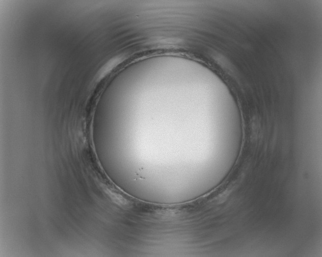 X0000054430970200508121814