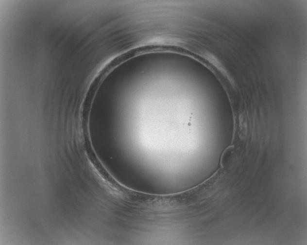 X0000054430972200508121814