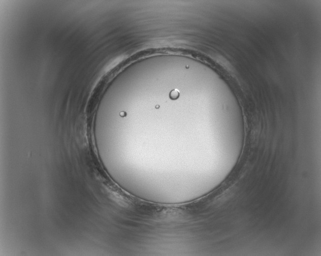 X0000054430974200508121814