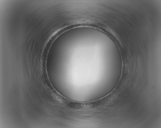 X0000054430975200508121814