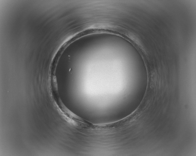 X0000054430976200508121814