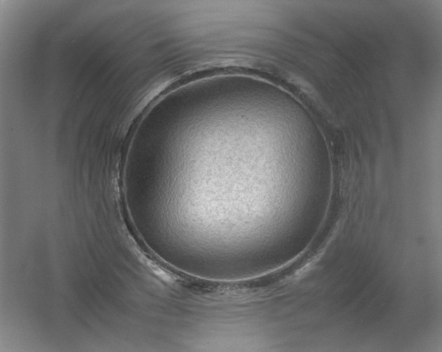 X0000054430977200508121814