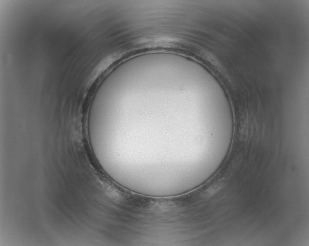 X0000054430978200508121814