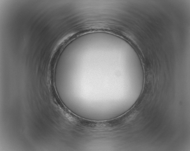 X0000054430979200508121814