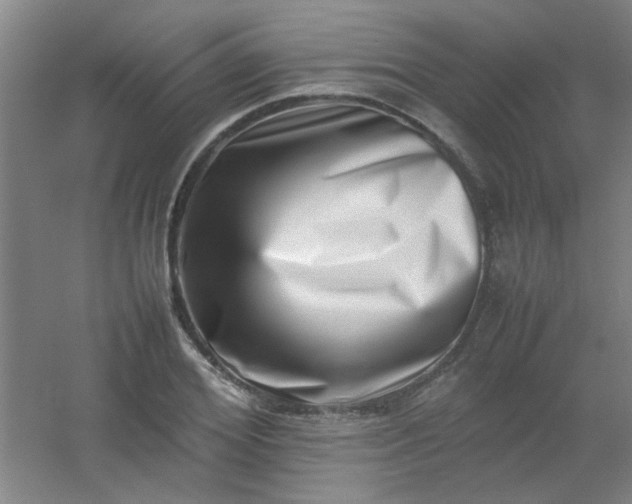 X0000054430980200508121814