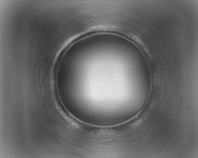 X0000054430981200508121814