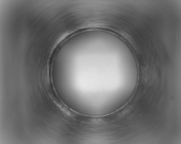 X0000054430982200508121814