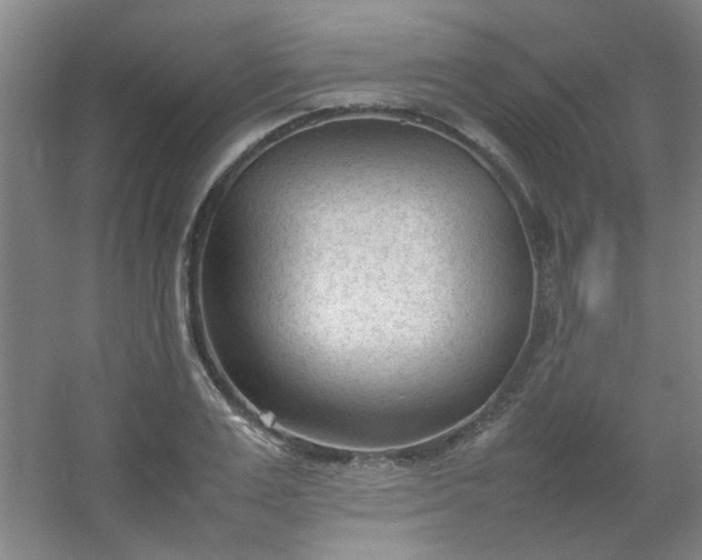 X0000054430983200508121814