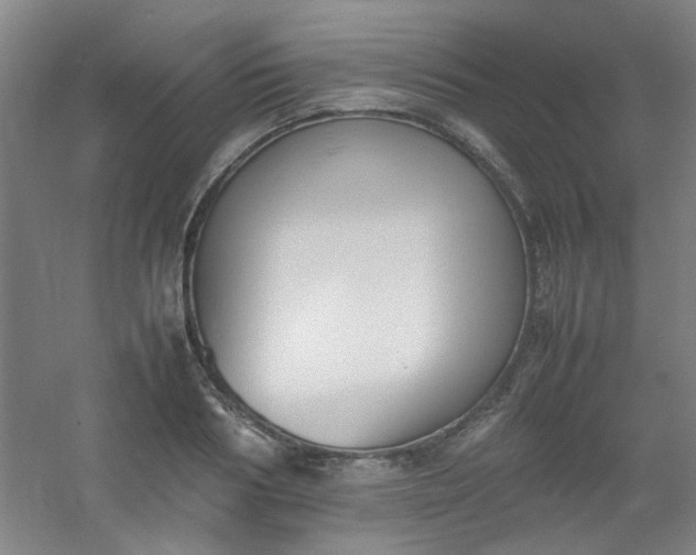 X0000054430986200508121814