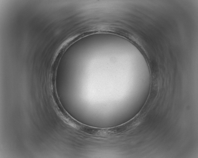 X0000054430987200508121814