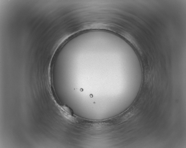 X0000054430988200508121814