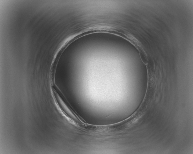 X0000054430989200508121814