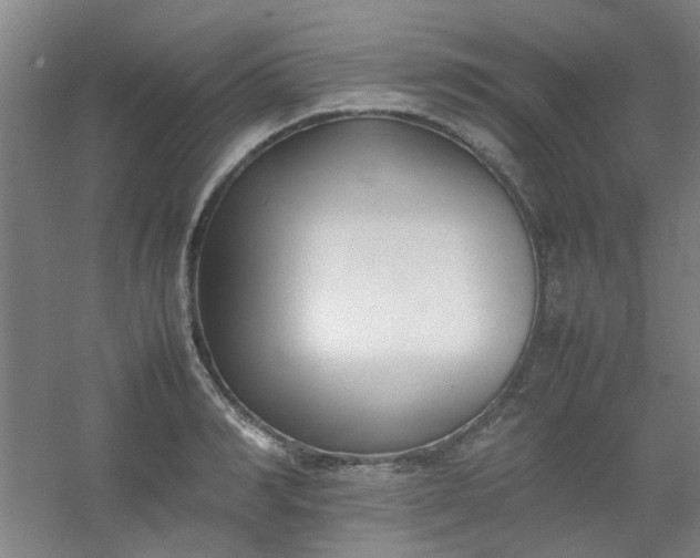 X0000054430990200508121814