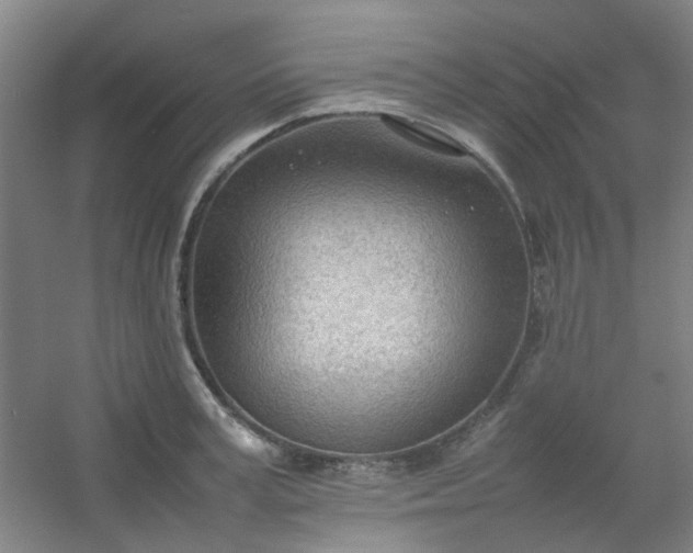 X0000054430995200508121813