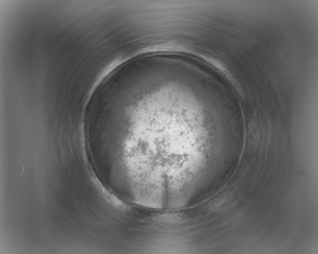 X0000054430998200508121813