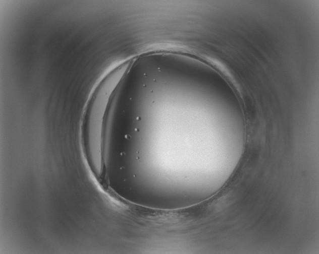 X0000054430999200508121813