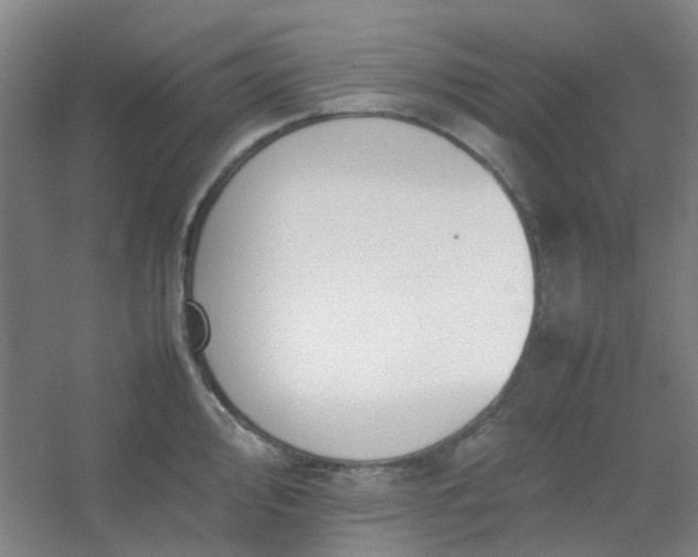 X0000054431000200508121813