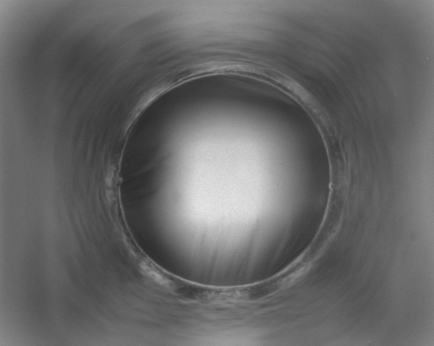 X0000054431001200508121813