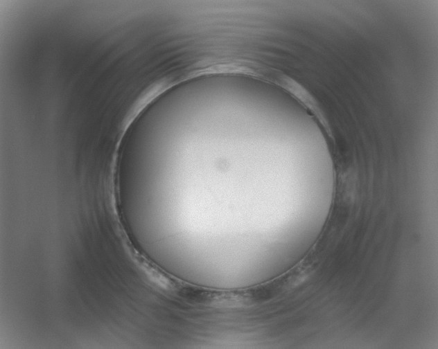 X0000054431002200508121813