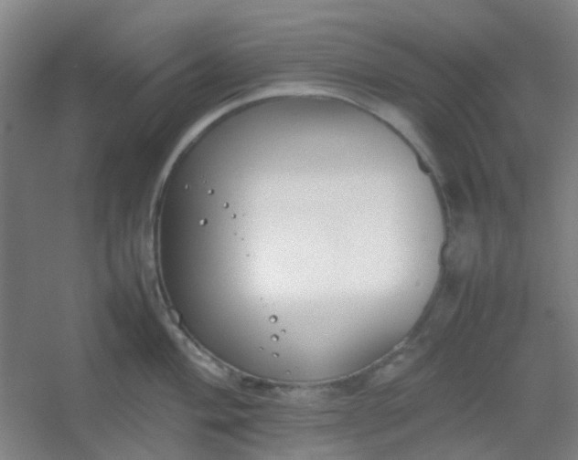 X0000054431004200508121813