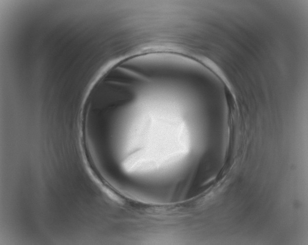 X0000054431005200508121813