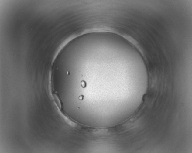 X0000054431006200508121813