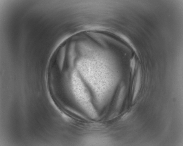 X0000054431007200508121813