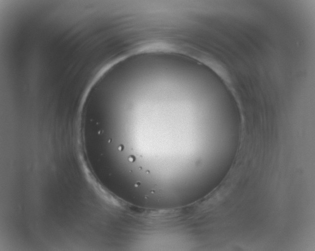 X0000054431008200508121813