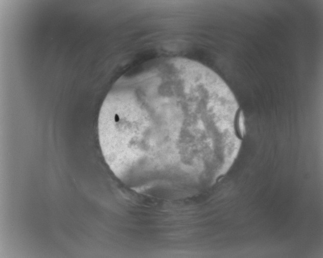 X0000054431009200508121812