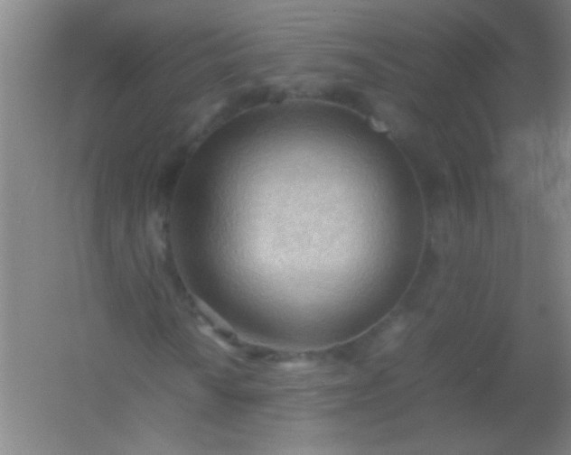 X0000054431010200508121812