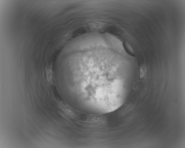 X0000054431011200508121812