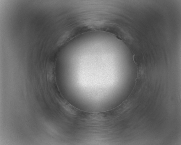 X0000054431012200508121812