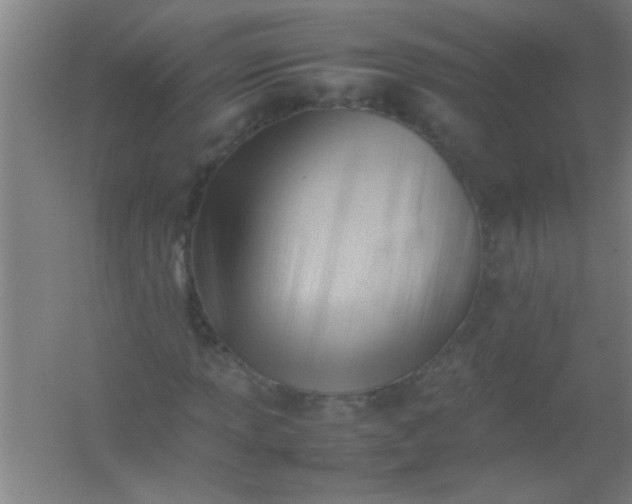 X0000054431013200508121812