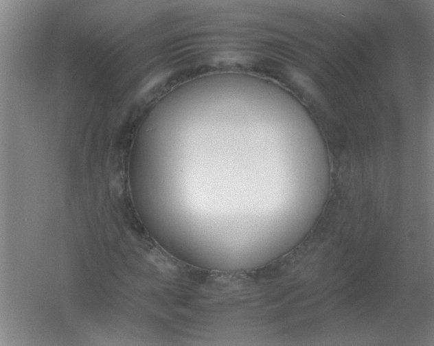 X0000054431015200508121812