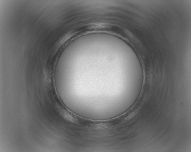 X0000054431017200508121813