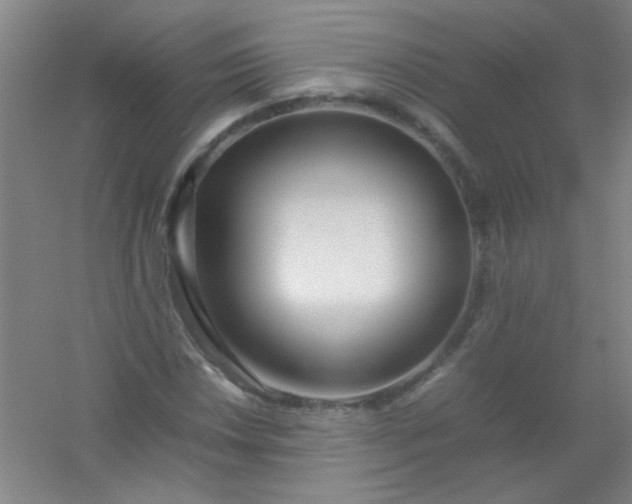 X0000054431018200508121813