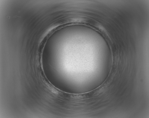 X0000054431019200508121813