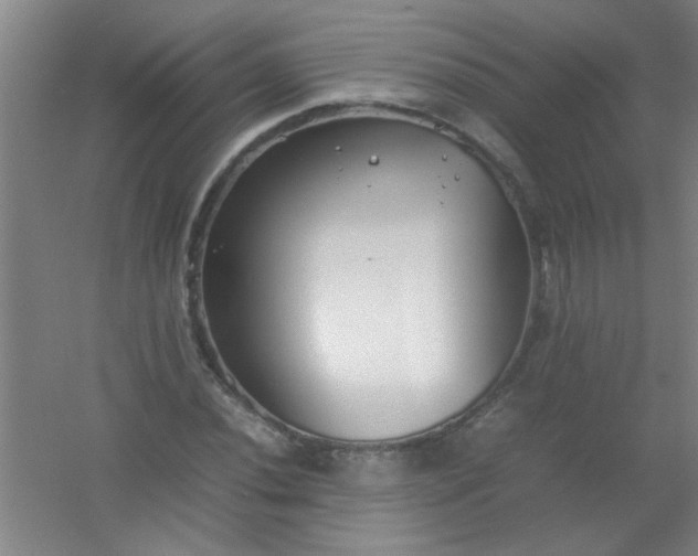 X0000054431020200508121813