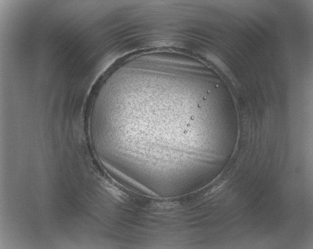 X0000054431023200508121813