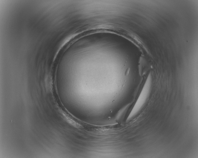 X0000054431024200508121813