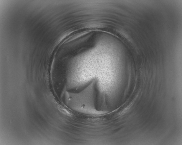 X0000054431025200508121813