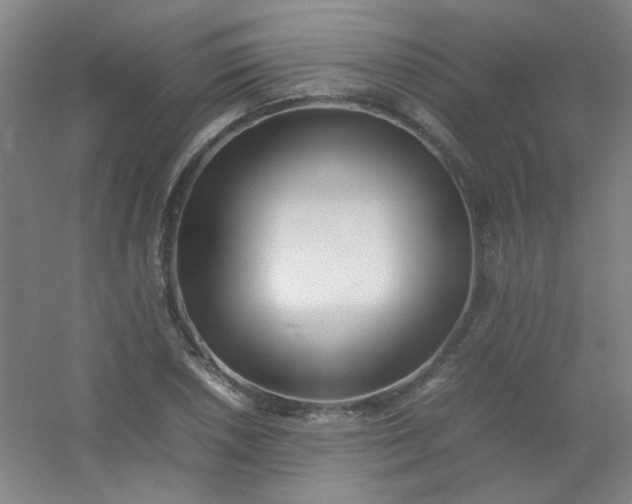 X0000054431026200508121813