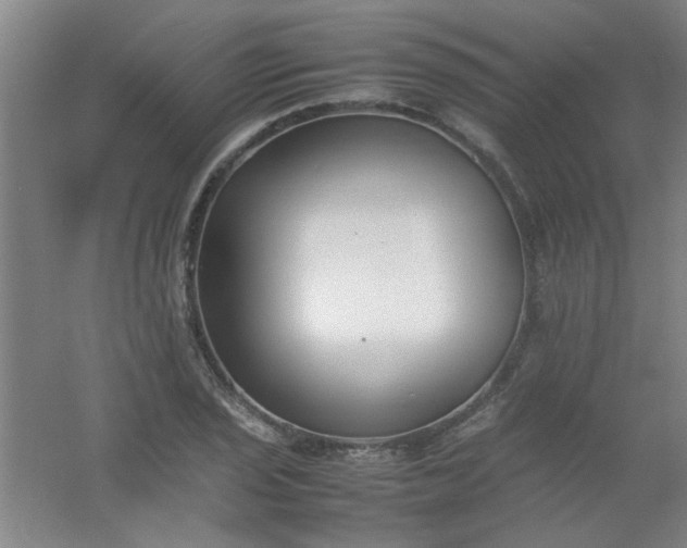 X0000054431029200508121813