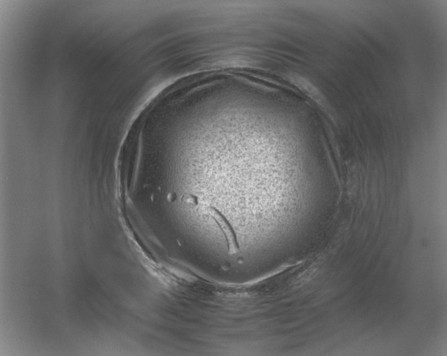 X0000054431031200508121813