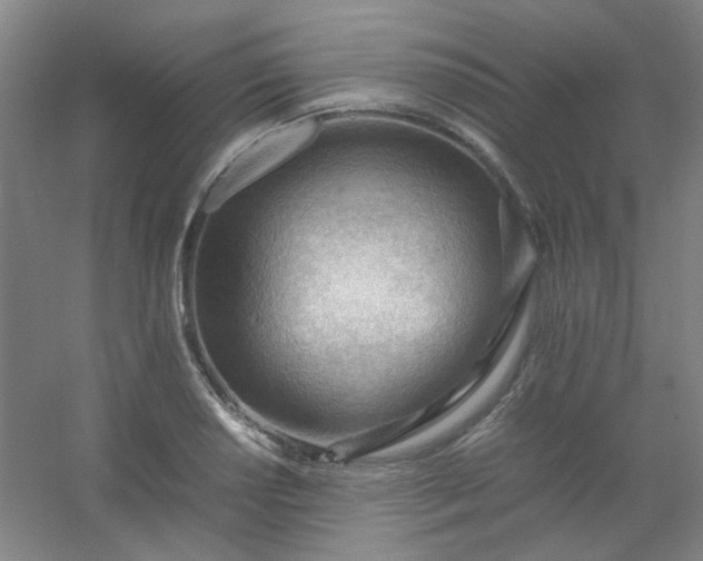 X0000054431034200508121813