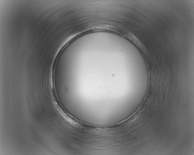 X0000054431036200508121813